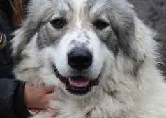 Cindarella Apaltasunez