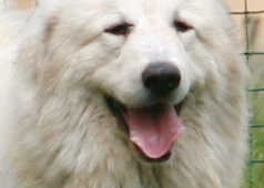 Hextra du Domaine de Maleo